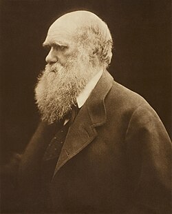 Charles Darwin portresi